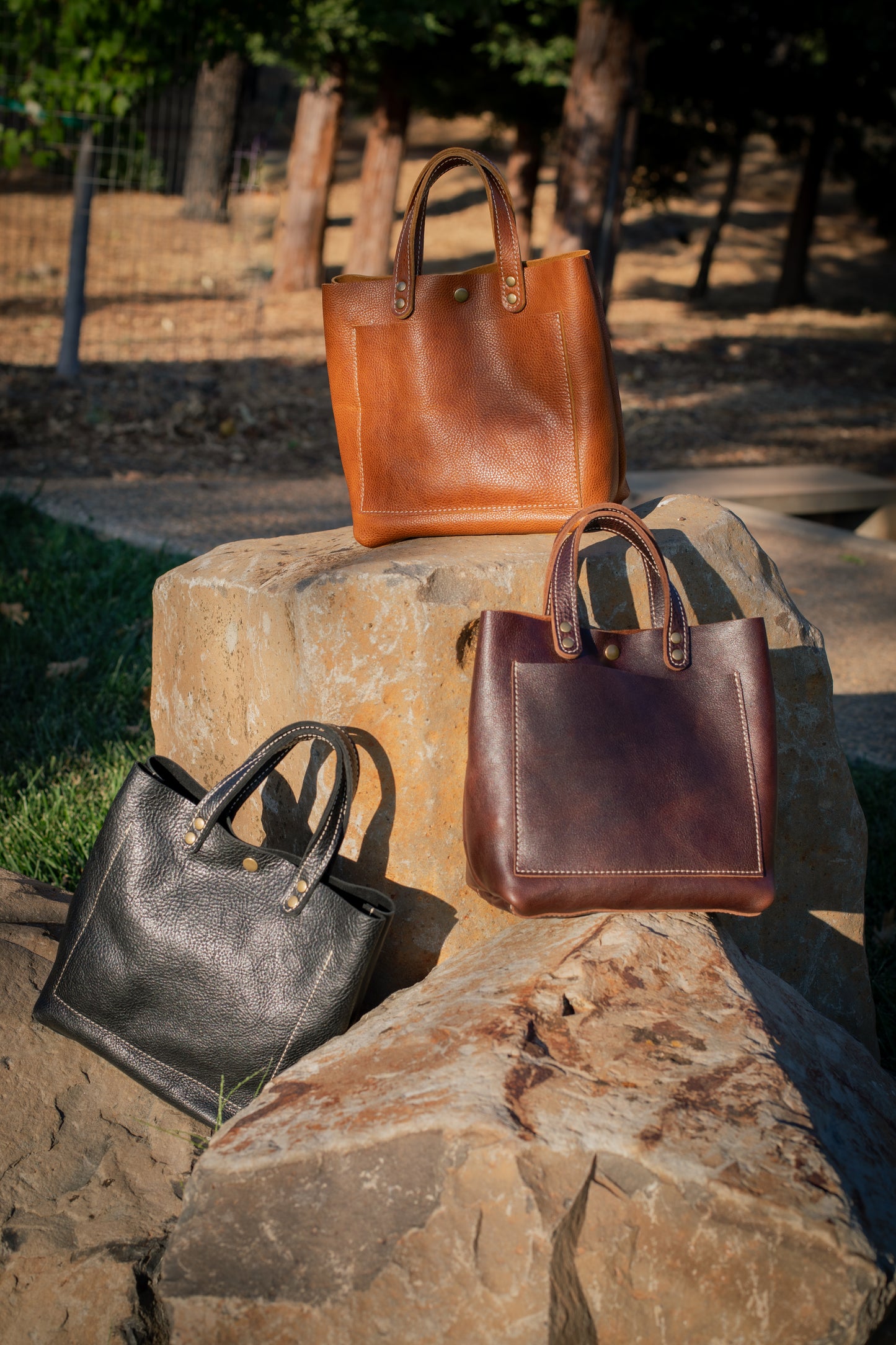 Lesa Tote