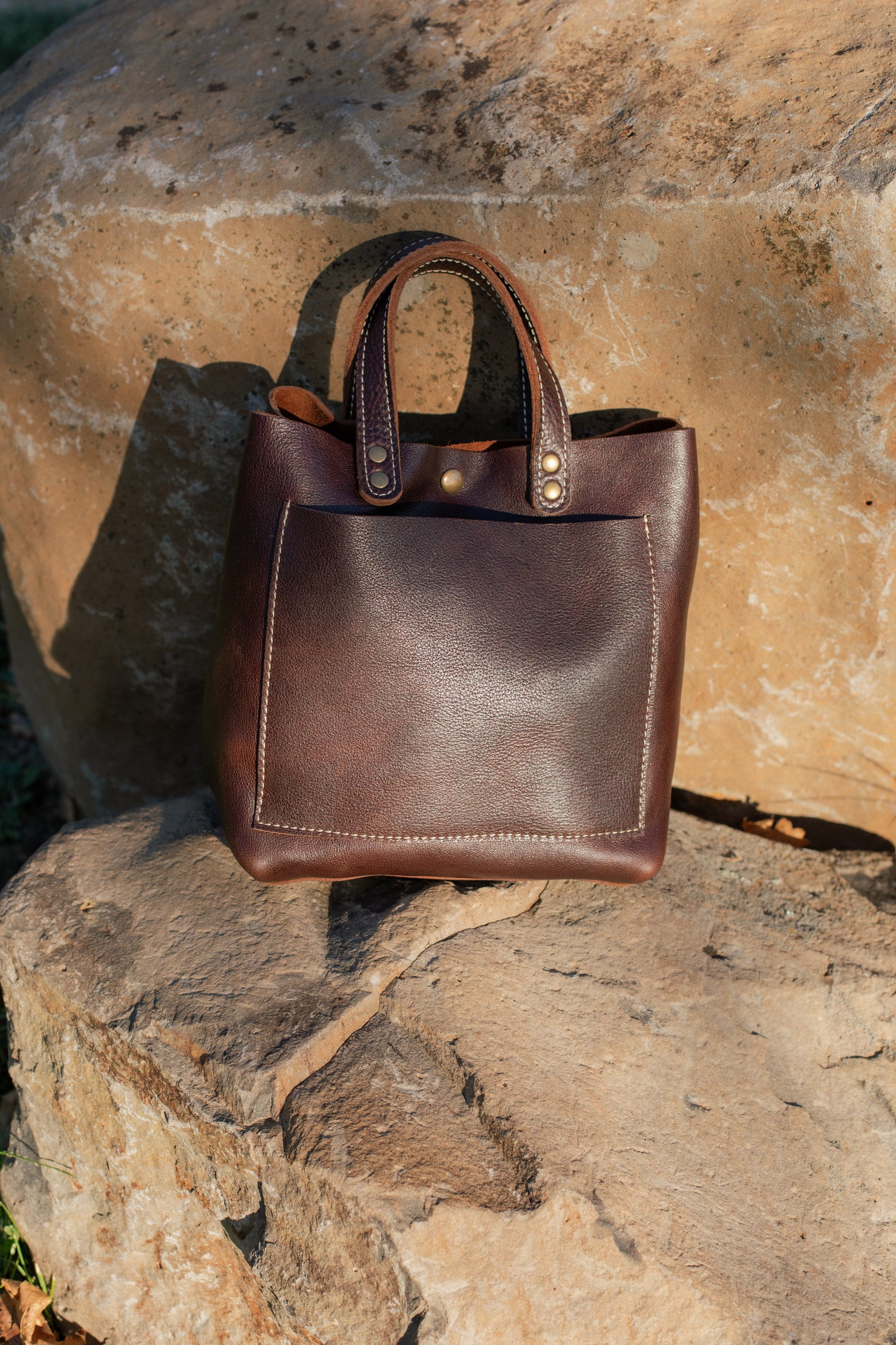Lesa Tote